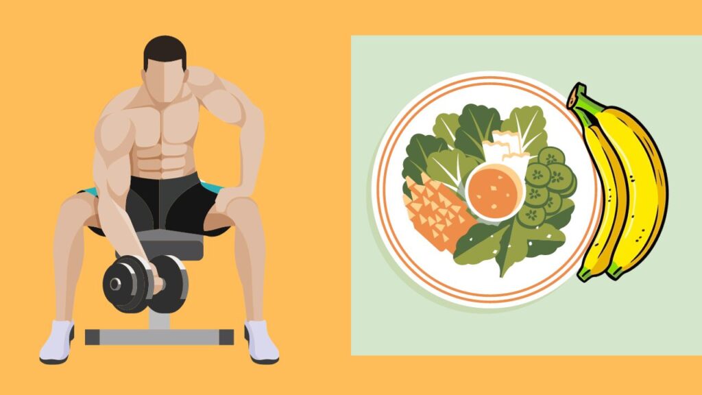 Best Ai Tools For Fitness And Diet Meals in 2024